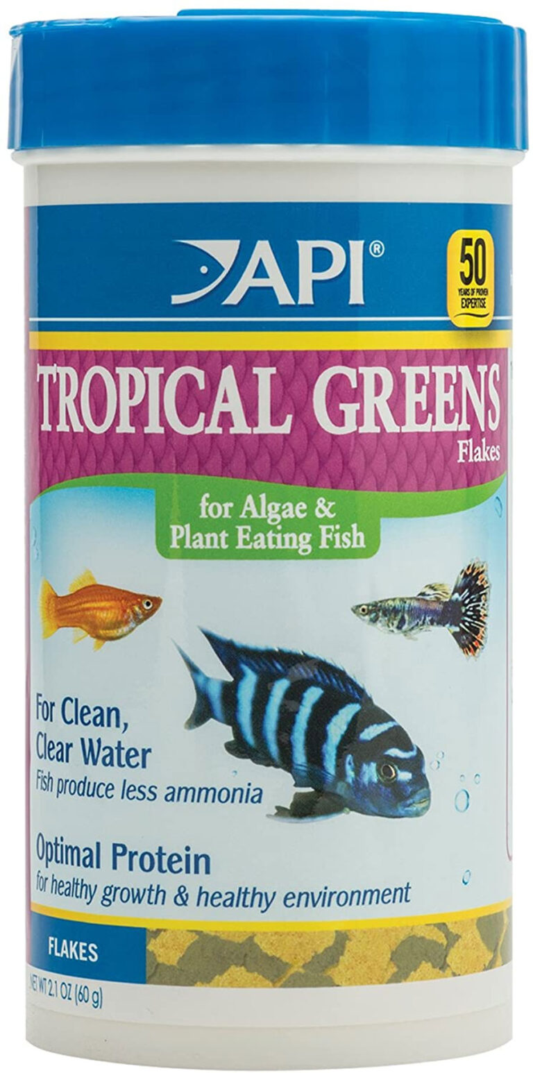 Best Guppy Food On The Market Reviewed - The Aqua Advisor