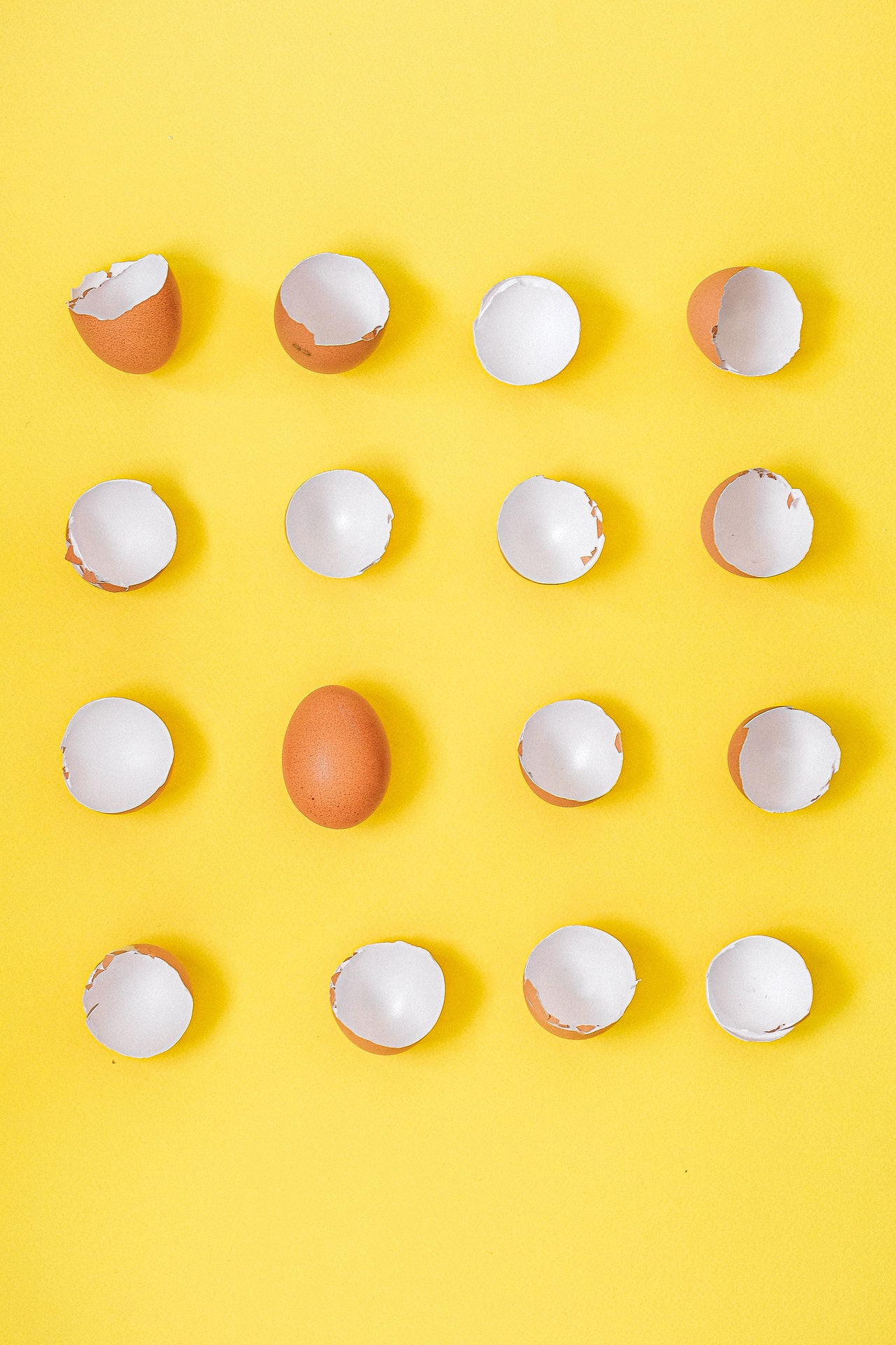 Eggshells source of calcium.