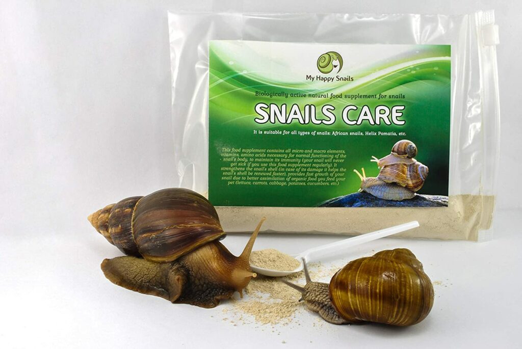 Snails Care