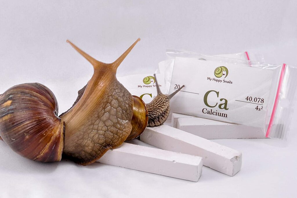 Source of calcium for mystery snails